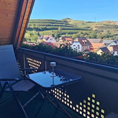 Ferienhaus Ziegler Schelingen